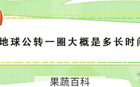 地球公转一圈大概是多长时间