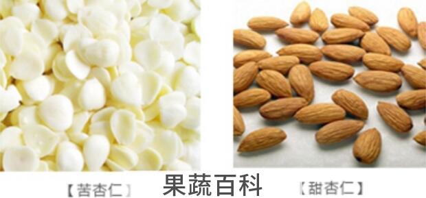 苦杏仁一天吃几个