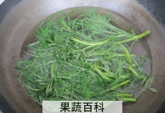 柳蒿泡水喝的功效与作用及禁忌