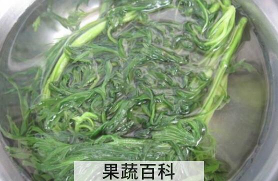 柳蒿泡水喝的功效与作用及禁忌