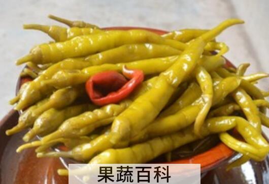 辣子做泡菜的腌制方法