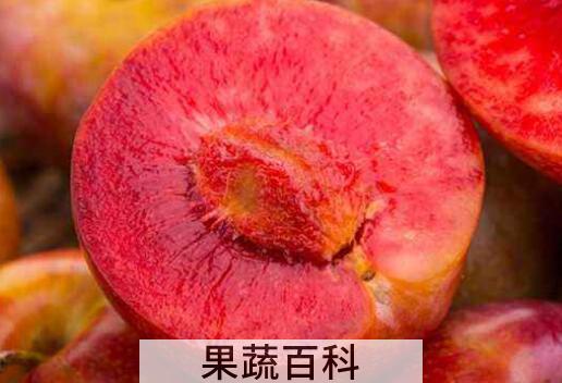红心李子的功效与作用