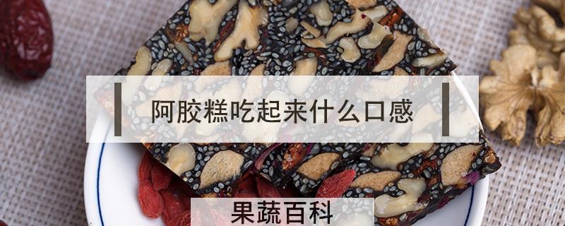 阿胶糕吃起来什么口感