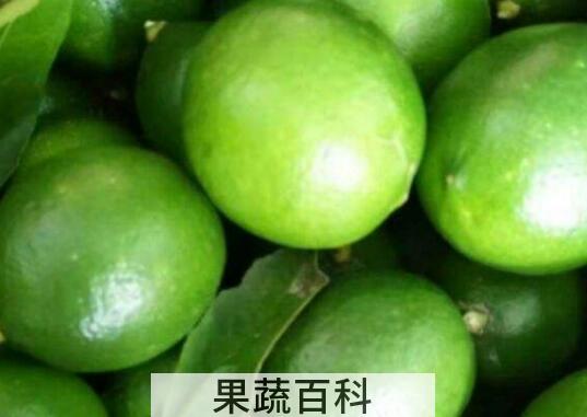 小青柠檬怎么泡水 小青柠可以泡水吗