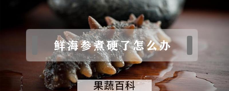 鲜海参煮硬了怎么办