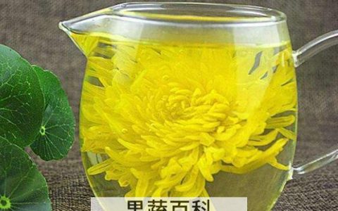 金丝皇菊泡水喝的功效与作用