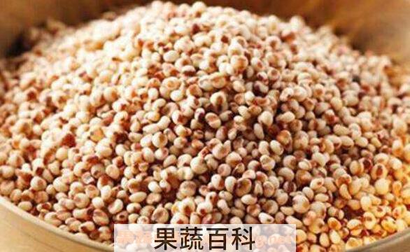 高粱米的营养价值 吃高粱米有什么好处