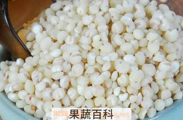 吃高粱米的好处有哪些 吃高粱米的坏处