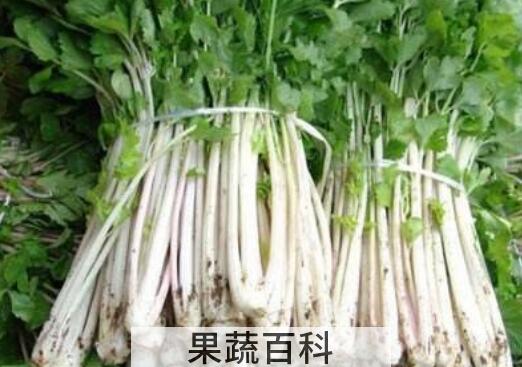 白芹菜和绿芹菜的区别 芹菜的功效