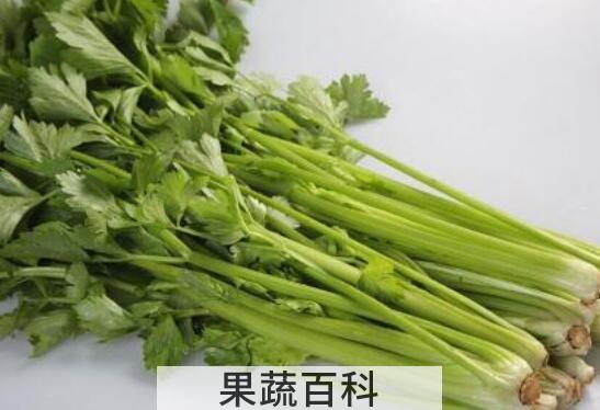 白芹菜和绿芹菜的区别 芹菜的功效