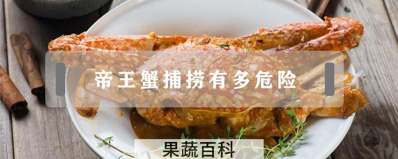 帝王蟹捕捞有多危险