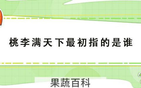 桃李满天下最初指的是谁