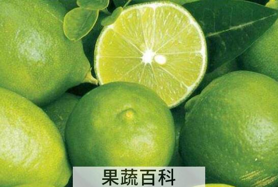 青柠檬怎么吃 青柠檬的食用方法