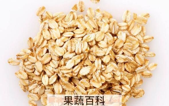燕麦和野燕麦的区别