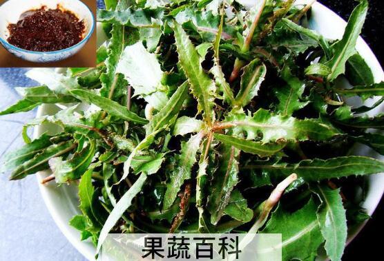 曲麻菜的功效与作用 曲麻菜的副作用