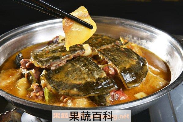 野生甲鱼