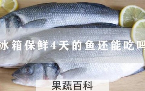 冰箱保鲜4天的鱼还能吃吗