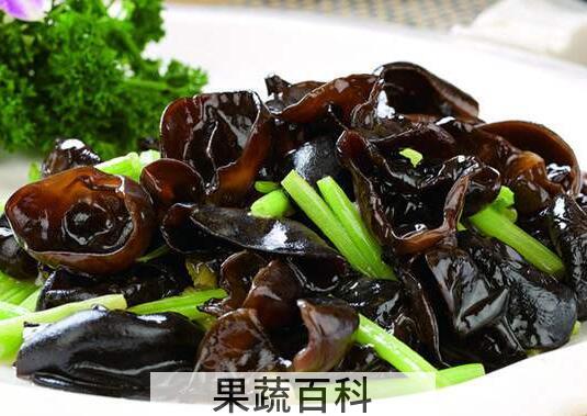 木耳泡多久就不能吃了 木耳泡好了隔夜能吃吗