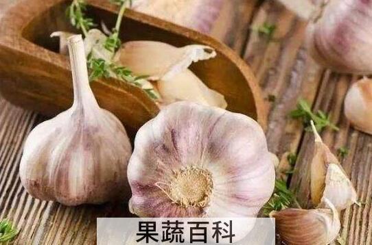 男人为何不能生吃大蒜 一个长期吃大蒜的男人会怎么样