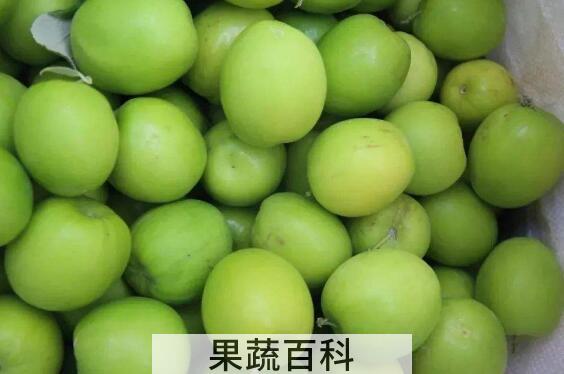 牛奶枣怎么吃 牛奶枣的食用方法