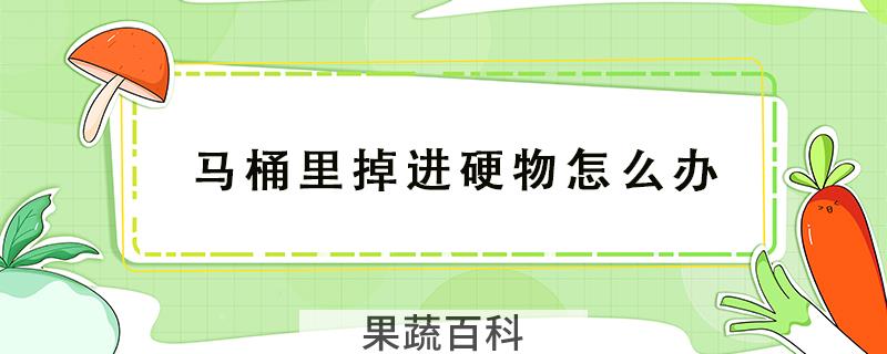 马桶里掉进硬物怎么办