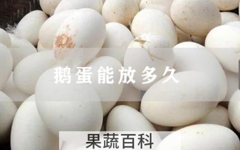 鹅蛋能放多久