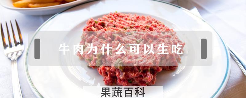 牛肉为什么可以生吃