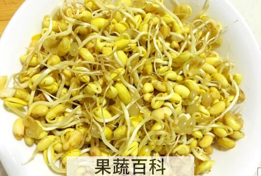 黄豆芽怎么发又粗又快