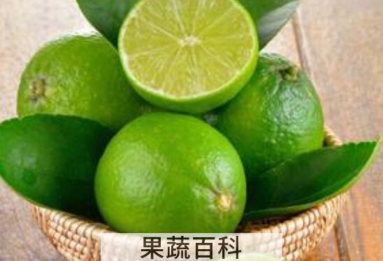 青柠檬和黄柠檬的区别 青柠檬和黄柠檬哪个好