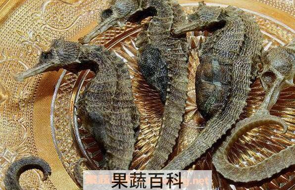 新鲜海马怎么处理晒干 海马晒干注意事项