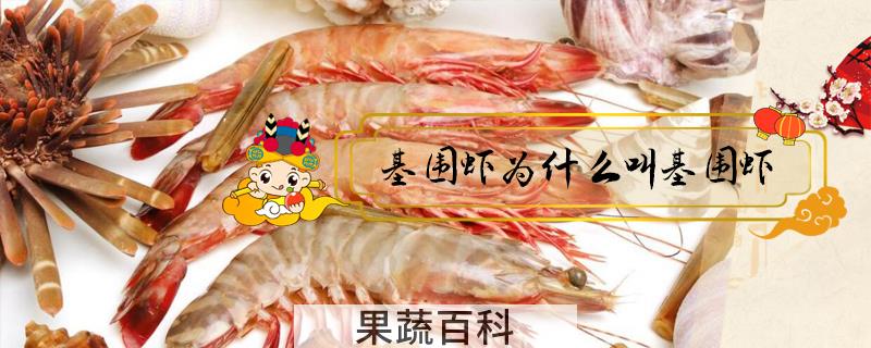 基围虾为什么叫基围虾