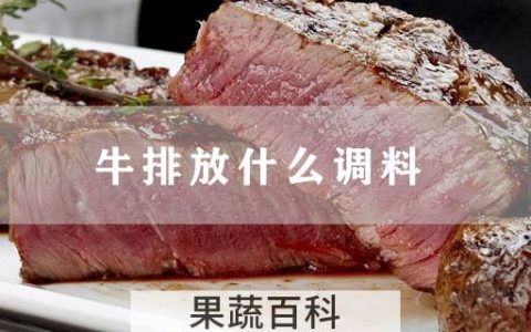 牛排放什么调料