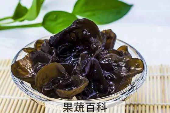 空腹吃木耳的好处和坏处