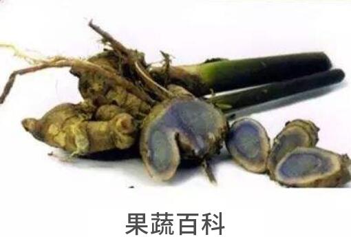 蓝姜的功效与作用 蓝姜的副作用