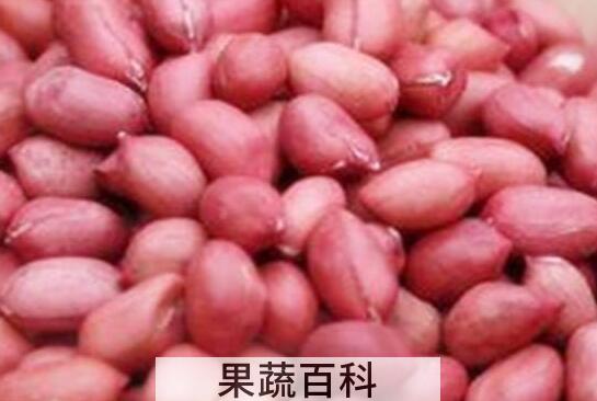 女人经常吃花生的好处和坏处