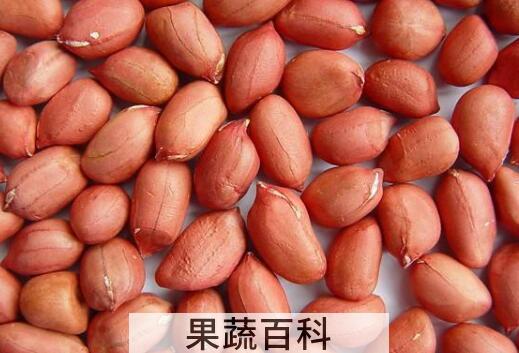 女人经常吃花生的好处和坏处