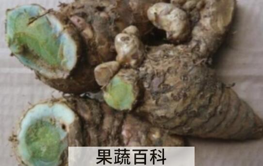 乌姜和黄姜的区别 乌姜的功效