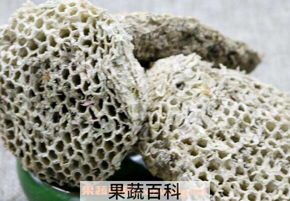 蜂房的功效与作用 蜂房的食用方法