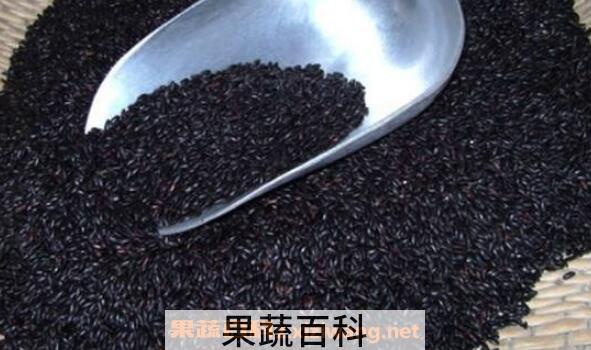 黑香米的功效与作用