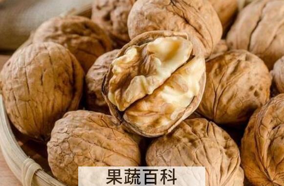 纸皮核桃的功效与作用及禁忌