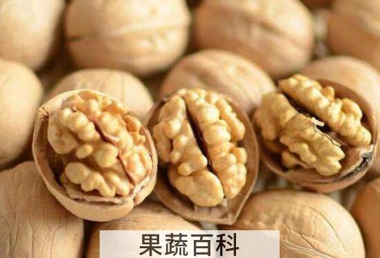 纸皮核桃的功效与作用及禁忌