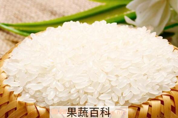 香米和大米的区别