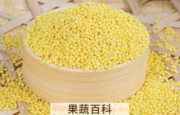 大黄米的功效与作用及食用方法