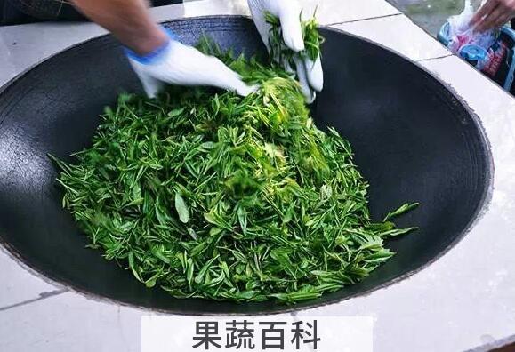 自己摘的茶叶怎么炒 手工炒茶叶的步骤
