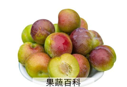 五月脆和脆红李的区别