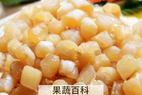 干贝怎么泡发最好 干贝快速泡发技巧