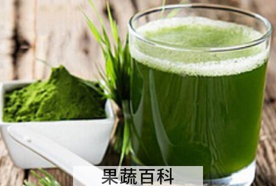 蚂蚁青汁怎么喝才减肥 蚂蚁青汁的副作用有哪些