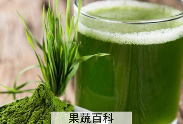 蚂蚁青汁的功效与作用