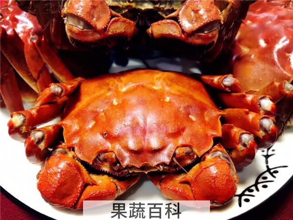 螃蟹吃什么好