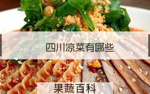 四川凉菜有哪些